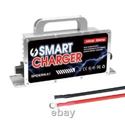 24V/29.2V 30Amp Forklift Lead-Acid Battery Smart Charger for Toyota Hyster Crown