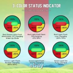 48v 18A Lithium Battery Charger Lifepo4 IP67 Waterproof for Golf Cart, Forklift