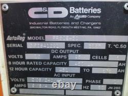 C&D Batteries Ferro Five FR6CE450 12V Forklift Battery Charger 95Amp 6 Cells