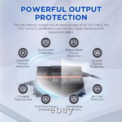 Forklift Battery Charger 24V 20A Smart Trickle Charger with LCD Display, 24