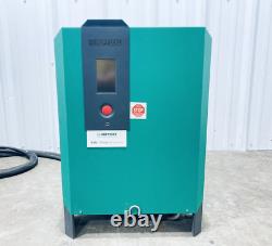 CHARGEUR DE BATTERIE POUR CHARIOT ÉLÉVATEUR HOPPECKE TRAK D480 G36/195 B-F14 TCHF air14 36V