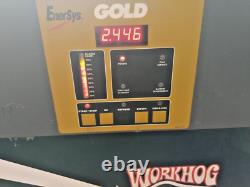 Chargeur de batterie automatique pour chariot élévateur Enersys Gold Work Hog 36 volts, 865 ampères-heure.