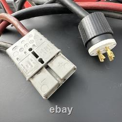 Chargeur de chariot élévateur ACT Quantum Q4-24/36-200-480 480VAC Raymond #4078